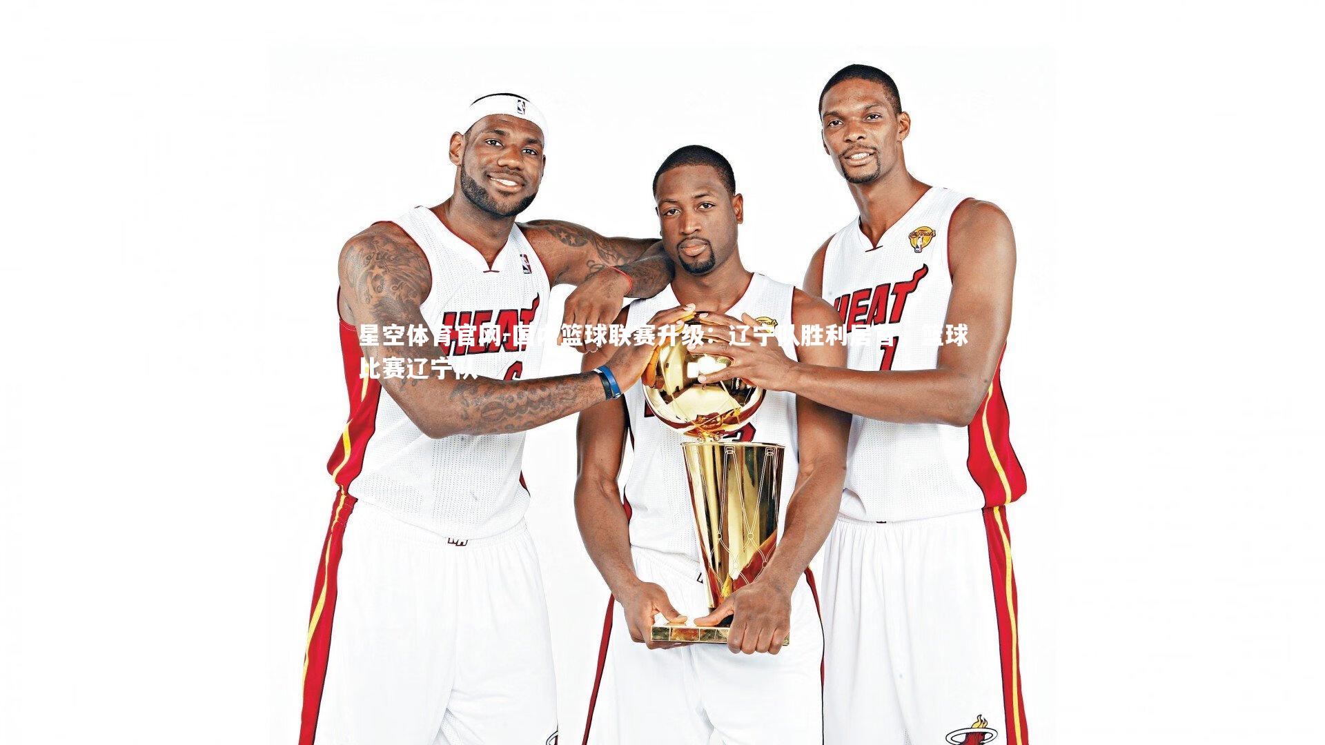 国内篮球联赛升级:辽宁队胜利居首,篮球比赛辽宁队